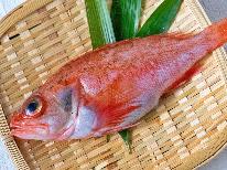 【のどぐろコース】北陸の高級魚！のどぐろを贅沢に1匹まるごと塩焼きで♪～1泊2食付