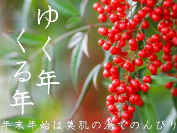★HP限定価格★【年末年始限定】＊～ゆく年くる年～＊美肌の湯と熊本の和会席を堪能