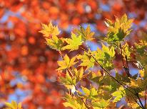 【秋の優雅旅】《酒蔵3種の利き酒付》秋の味覚を堪能！ゆったり大人旅♪イチ押し彩里会席＜特典付2食＞