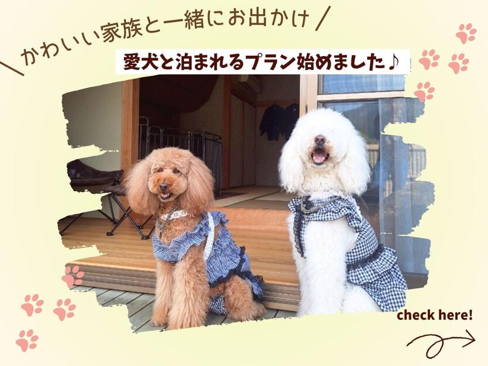 【愛犬と一泊】いぬ旅日和 U｡･ｪ･｡U ～大切な家族と過ごす休日～【素泊まり】