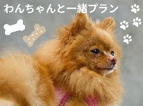 【わんちゃんと一緒：リーズナブルプラン】※ペット同伴専用プラン　地魚フライ定食－2食付ー