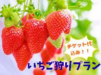 【イチゴ狩り】チェックアウト後にいちご狩りプラン★夕食は地魚定食