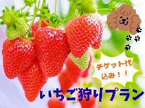 【イチゴ狩り】わんちゃんと同部屋♪チェックアウト後にいちご狩りプラン★夕食は地魚定食