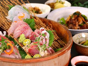 【刺身大漁盛り×海鮮創作料理】串本の旬魚を食べ尽し！鮮魚大満足プラン