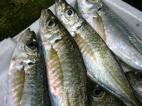 【HP限定価格】【安心価格】旬の獲れたて海鮮を味わう♪[1泊2食付]