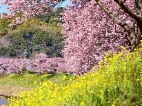 ゜+.『 みなみの桜と菜の花まつり 』.+゜美しい花々を満喫♪旬彩スタンダードコース■2食付