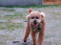 【素泊まり・ペット１頭無料♪】愛犬と一緒に一人旅♪こだわりの蔵宿で過ごす贅沢な時間