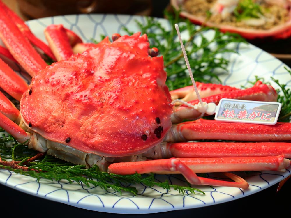活ガニの刺身×活焼きガニ付き【カニ鍋×カニ天×カニみそ】松葉ガニに至福のひととき