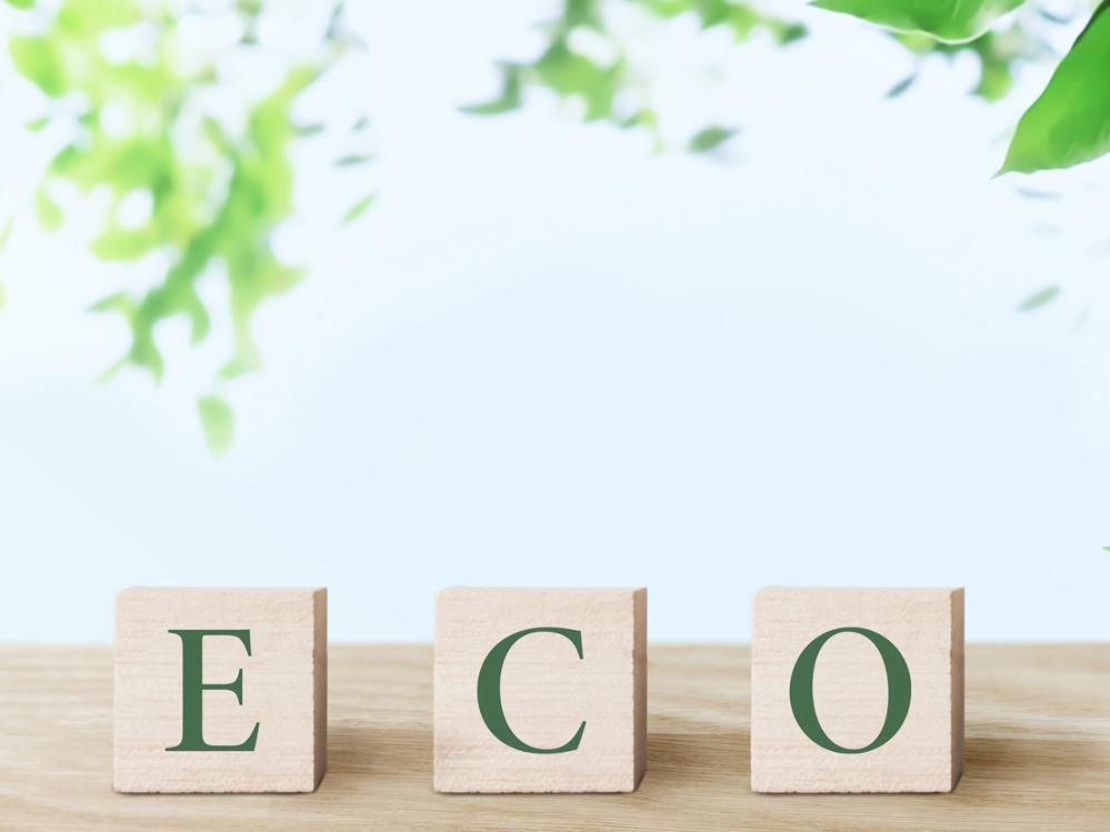 《Eco素泊まりプラン》アメニティー無しの素泊まり【貸切風呂】