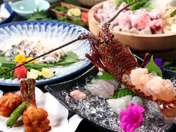 ＜冬季＞ふぐ＆白子＆伊勢海老◆ 冬の王様を味わい尽くす♪