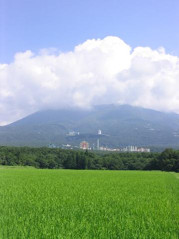 夏休み!!わんちゃんと一緒の家族旅行