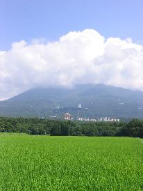 ゆったりと過ごす那須高原　素泊まりプラン