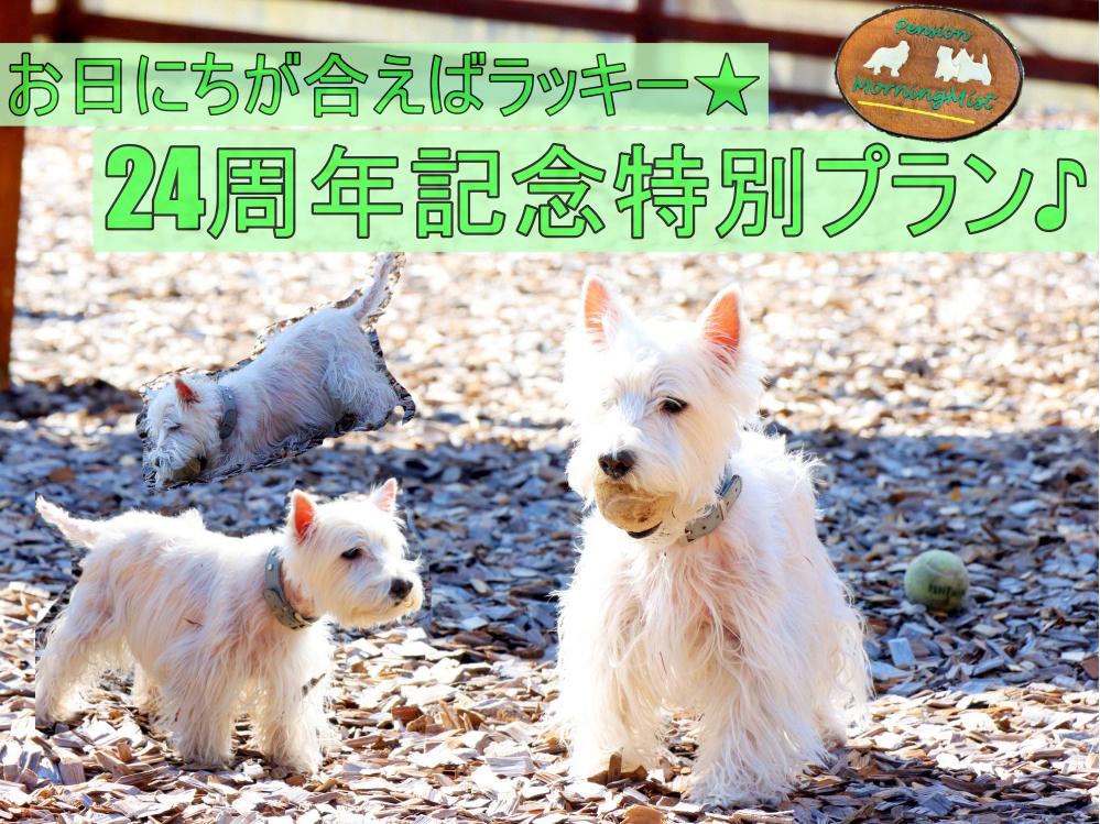 ☆24周年記念割引☆朝早くに出発の方ににおすすめ♪夕食は和洋折衷手作り家庭料理をどうぞ☆【1泊夕食付】