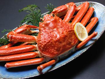 ズワイガニお一人様1杯付き★得々会席プラン