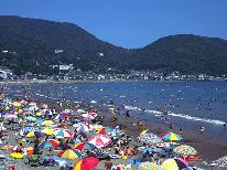 【夏を海辺で過ごそう！】地魚おいしい★海の幸と天然温泉かけ流し★