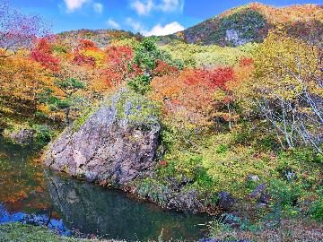 【佐渡の紅葉】ジオパーク認定の佐渡島で楽しむ大迫力の紅葉！創作海鮮料理と一緒に秋を楽しもう♪