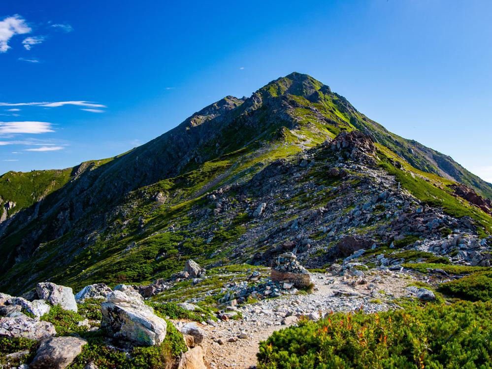 【南アルプス登山者応援】スタンダードにワンドリンク特典付！