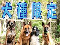 【犬種限定プラン】ノティカの看板犬たちと同じ犬種の君を大歓迎♪【特典付】