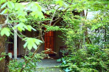 【連泊リトリート】森の静寂に身をゆだね、深い癒しへと導かれる滞在  〜滞在をより快適にする連泊特典付き〜