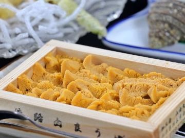 日本一旨い！由良港の特選ウニを旬の海鮮会席でご堪能♪1泊2食付