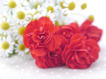 【いつでも記念日】結婚、就職、還暦など・・・福島牛フィレステーキ×スパークリングワインでお祝い♪