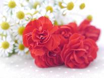 【いつでも記念日】結婚、就職、還暦など・・・福島牛フィレステーキ×スパークリングワインでお祝い♪