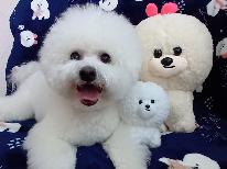 【素泊まり】裏磐梯を満喫した後は、ゆったりとしたお部屋でくつろごう【チェックイン20：00までOK】