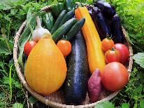 【季節の野菜のせいろ蒸し】自家製野菜を一番おいしい食べ方で！◆手作りの3種類のタレで舌鼓♪東北限定