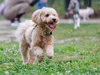 【1泊2食付】1室限定！快適設備の専用客室で愛犬と過ごす旅♪☆HP予約限定☆1,000円割引