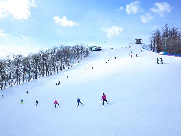 【リフト１日券付】＜松之山温泉スキー場＞シャンパンパウダー満喫♪1泊2食