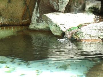 HPが最安です★【12/31限定】本格日本建築の当館で 「信州そば」 と 「源泉かけ流しの温泉」 日本の年越しを♪〈２食付〉