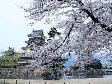 【春季限定】信州の「山菜」を堪能♪信州春食プラン 信州牛・馬刺し付♪《1泊2食付》