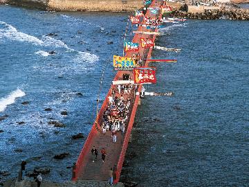 【雄島祭り★4/20(日)限定】【1人で1杯付き】越前紅ずわい茹でコース