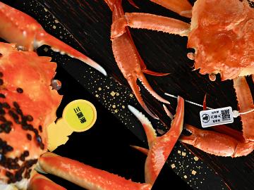 【かに食べ比べ】越前がにと越前紅ズワイがにの食べ比べ！かに尽くしプラン