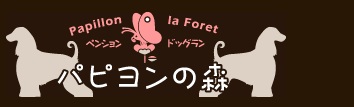 パピヨンの森