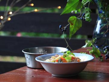 ＊全国旅行支援は電話予約のみ＊【料金プラスでわんちゃん特別薬膳メニュー】ワンちゃんの体に良いものを♪【スタンダード1泊2食付】