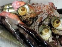 初夏からの夏の魚会席