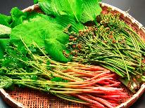 山菜天婦羅おかわりOK！梅雨の楽しみご提供♪プラン