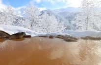 【富良野スキー場リフト券付き】朝食付プラン