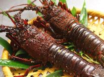 【ちょっと贅沢♪】海鮮料理に伊勢海老付！？満足度アップ！！[1泊2食付]