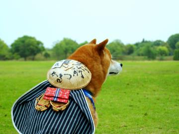 ※全国旅行支援対象外※★ワンちゃんと泊まろう★【素泊まり】中型犬までOK！海岸沿いをお散歩旅