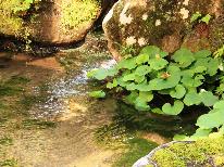 【HP限定価格】【1泊朝食付】お気軽に野沢温泉を満喫♪元気パワーは朝食から！！【直予約価格】