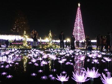 【特典付】日本３大イルミネーション光の花の庭『あしかがフラワーパーク』へ行こう！＜2食付＞