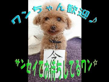 ペットと一緒にお泊りプラン★大切な家族と過ごす楽しい休日(=^・^=)♪【素泊】