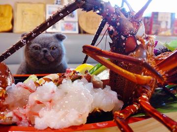 【季節限定★伊勢海老コース】新鮮な伊勢海老を贅沢に♪嬉しい飲み放題付き!(夕食のみ)