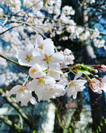 【春休み直前割】ホームページがお得～当日予約ＯＫ！【素泊まり】お食...
