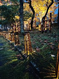 【直前割り‼日にち限定】ホームページがお得~当日予約OK♪【1泊朝食付プラン】◆紅葉祭りを満喫