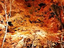 ホームページがお得【飲物付プラン】期間限定◆夕焼けの渚紅葉祭り◆会場入り口まで徒歩５分「有料の竹あかりエリア無料に◎」