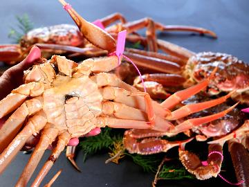 【冬限定】冬の味覚の王様！「活カニ特選プラン」ブランドの蟹を堪能！【1泊2食付】