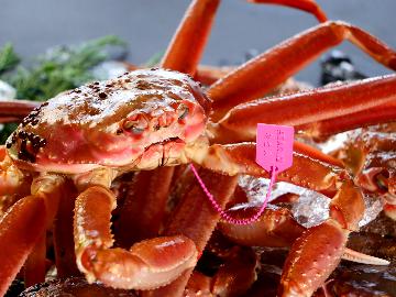 【冬限定】タグ付きブランド蟹のフルコース「活カニフルコース」【1泊2食付】